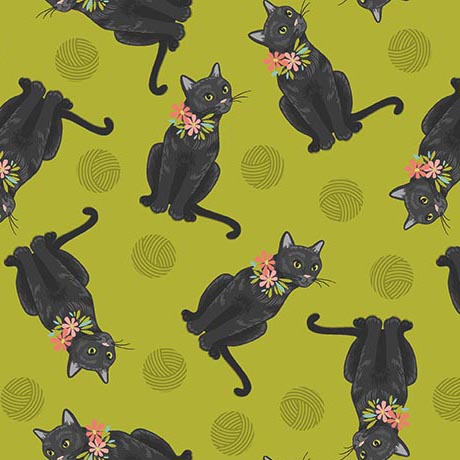 CURIOUS KITTYCATS        